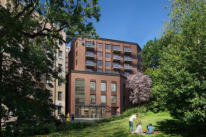 55 Dash Place